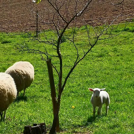 Pumphuts Scheune Nr 1 - 4 Beim Freizeitpark Plohn Lengenfeld (Saxony)