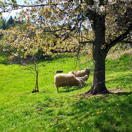 Pumphuts Scheune Nr 1 - 4 Beim Freizeitpark Plohn Lägenhet *