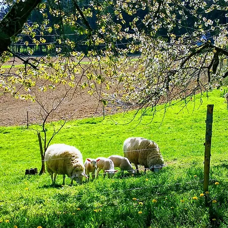 Pumphuts Scheune Nr 1 - 4 Beim Freizeitpark Plohn