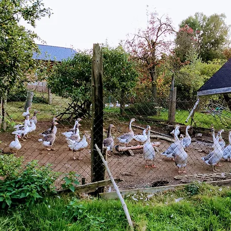 Pumphuts Scheune Nr 1 - 4 Beim Freizeitpark Plohn *